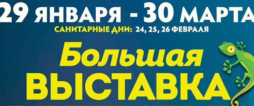 Большая выставка рептилий в Мозыре c 29.01 по 30.03