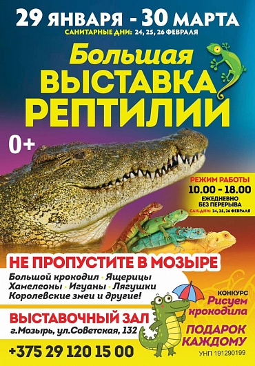 Большая выставка рептилий в Мозыре!