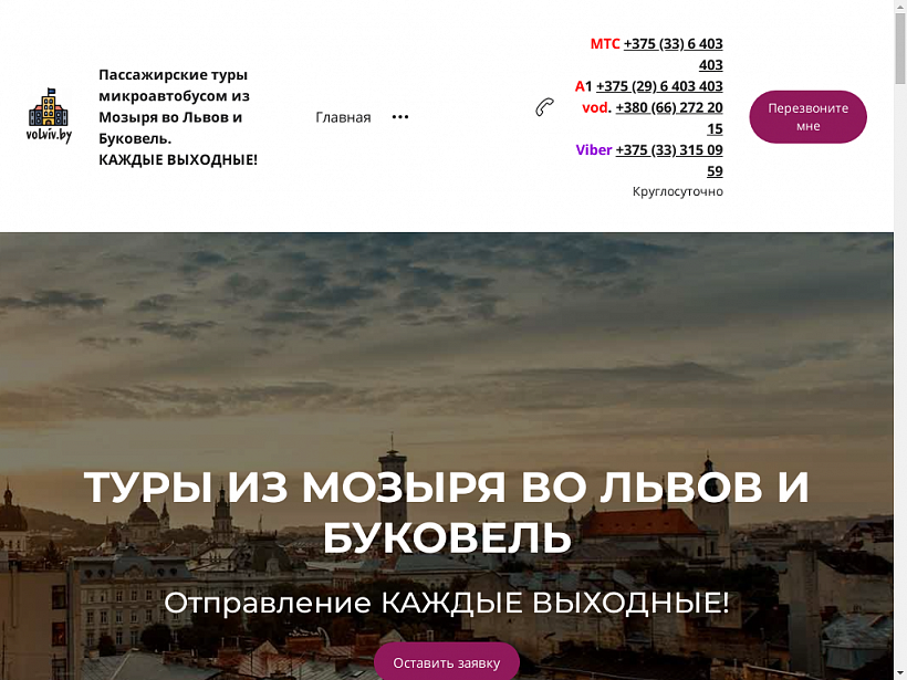 Мозырь - Львов